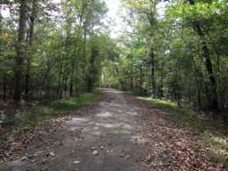Chickamauga Battlefield Park