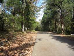 Chickamauga Battlefield Park