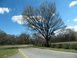 Chickamauga Battlefield Park