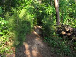 Harrison Bay State Park