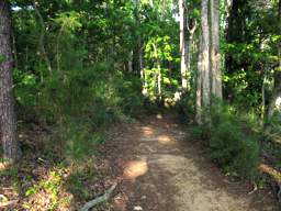Harrison Bay State Park