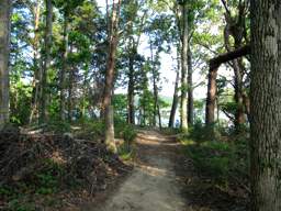 Harrison Bay State Park