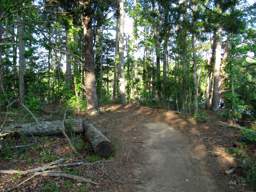Harrison Bay State Park