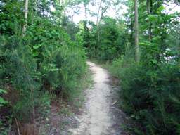 Harrison Bay State Park