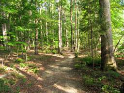 Harrison Bay State Park