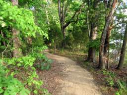 Harrison Bay State Park
