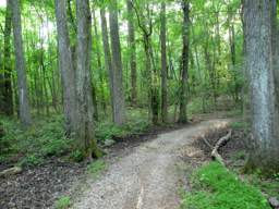 Harrison Bay State Park