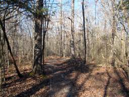 Harrison Bay State Park