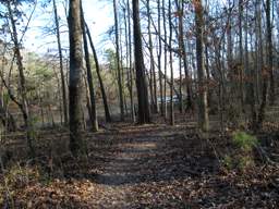 Harrison Bay State Park