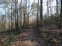 Harrison Bay State Park