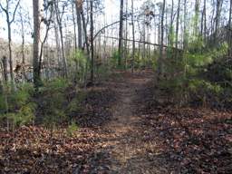 Harrison Bay State Park