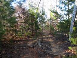 Harrison Bay State Park
