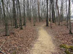 Harrison Bay State Park