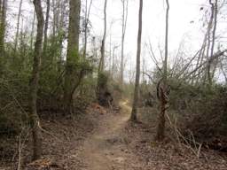 Harrison Bay State Park