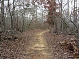 Harrison Bay State Park