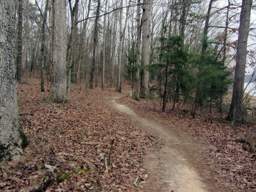 Harrison Bay State Park