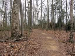 Harrison Bay State Park