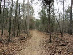 Harrison Bay State Park