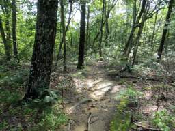 Cumberland Trail - Soddy Creek Gorge