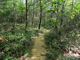 Cumberland Trail - Soddy Creek Gorge