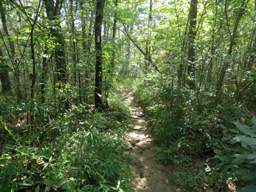 Cumberland Trail - Soddy Creek Gorge