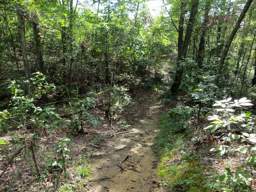 Cumberland Trail - Soddy Creek Gorge