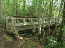 Cumberland Trail - Soddy Creek Gorge
