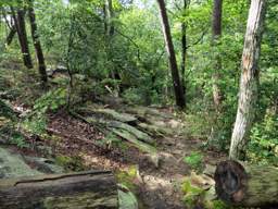 Cumberland Trail - Soddy Creek Gorge