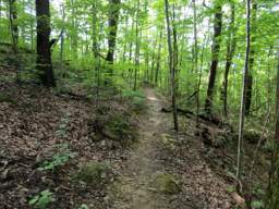 Cumberland Trail - Soddy Creek Gorge