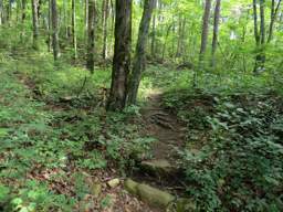 Cumberland Trail - Soddy Creek Gorge