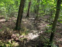 Cumberland Trail - Soddy Creek Gorge