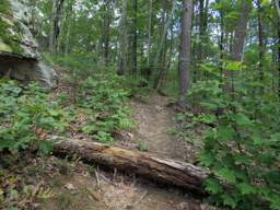 Cumberland Trail - Soddy Creek Gorge