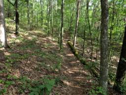 Cumberland Trail - Soddy Creek Gorge