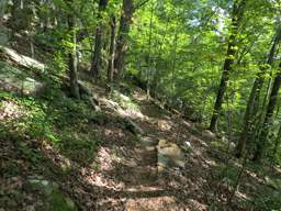 Cumberland Trail - Soddy Creek Gorge