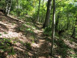 Cumberland Trail - Soddy Creek Gorge