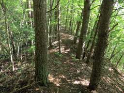 Cumberland Trail - Soddy Creek Gorge