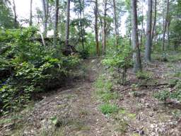 Cumberland Trail - Soddy Creek Gorge