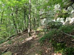 Cumberland Trail - Soddy Creek Gorge