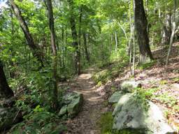 Cumberland Trail - Soddy Creek Gorge