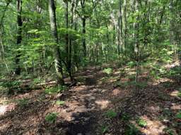 Cumberland Trail - Soddy Creek Gorge