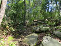 Cumberland Trail - Soddy Creek Gorge