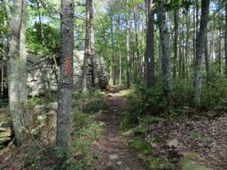 Cumberland Trail - Soddy Creek Gorge