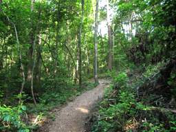 Biology Trail