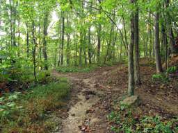 Biology Trail