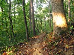 Biology Trail