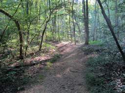 Biology Trail