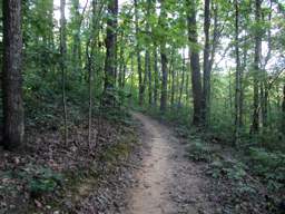 Biology Trail