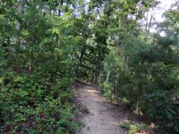 Biology Trail
