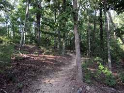 Biology Trail