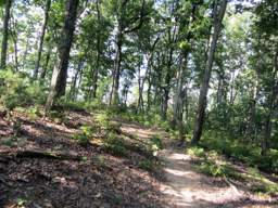 Biology Trail